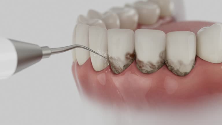 Reliable Dental contractor in Williamson County County, IL by Dentist Open Now